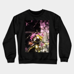 red Malus 'Radiant' crab apple blossoms #5 Crewneck Sweatshirt